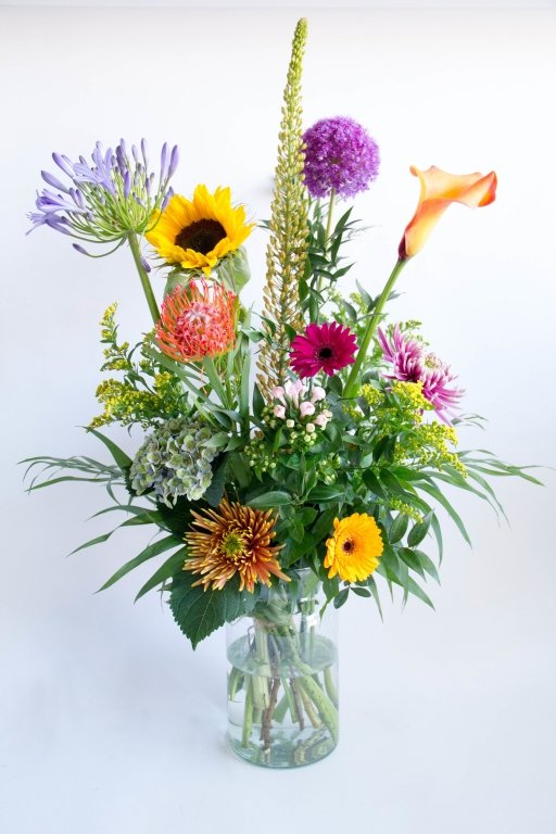 Een schematische afbeelding van een bloem. 